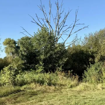 Wielkie sprzątanie w Przedborzu. Pilica odzyskała blask