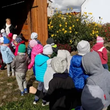 Przedszkolaki w zagrodzie