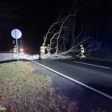 Silny wiatr przewracał drzewa na drogi