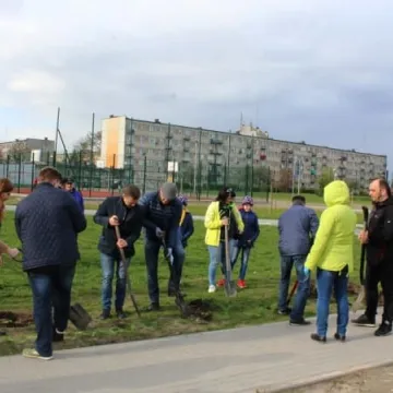 Samorządowcy z Platformy Dialogu sadzili drzewa