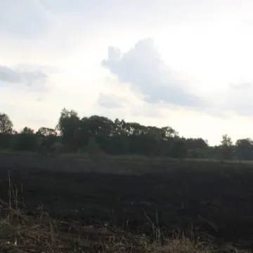 Pożar łąk na Dąbrówce 