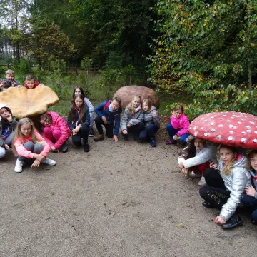 „Droga śmiecia” w Reymontówce na Bugaju