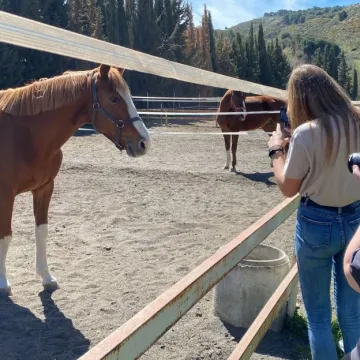 ZSE na stażu w Hiszpanii Erasmus+