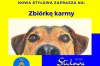 Klub RKS Radomsko organizuje zbiórkę karmy dla zwierząt ze schroniska