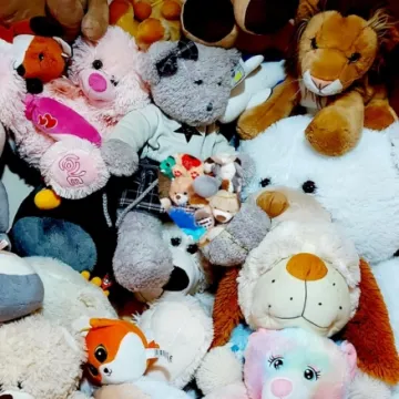 Pluszaki dla potrzebujących od kibiców