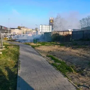 Pożar trawy na osiedlu przy ulicy Sadowej