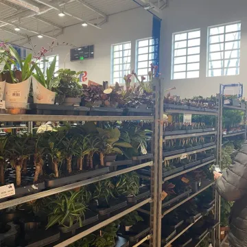 Rośliny opanowały Radomsko. Festiwal Roślin odbył się po raz pierwszy