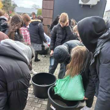 Uczniowie „ekonomika” w Radomsku sadzili kwiaty