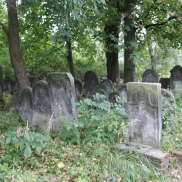 Kirkut odkrywa swoje tajemnice