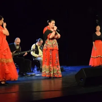 Kultura romska w MDK