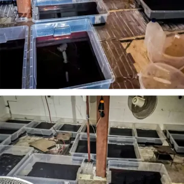 Ponad 5,8 tony narkotyków przejęli policjanci likwidując 3 laboratoria