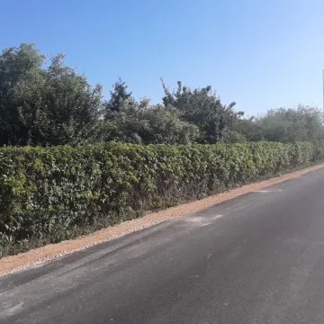 Ulica Parkowa: asfalt zamiast tłucznia