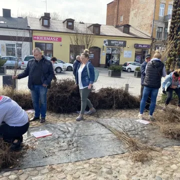 Zielone Radomsko. Darmowe sadzonki dla mieszkańców