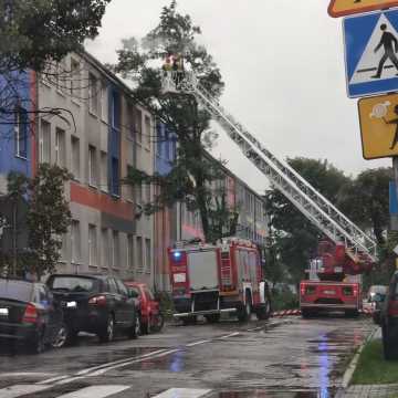 Spadający konar uszkodził samochody na ul. Bugaj w Radomsku