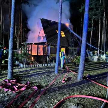 [WIDEO] Zakrzówek Szlachecki. Palił się domek letniskowy