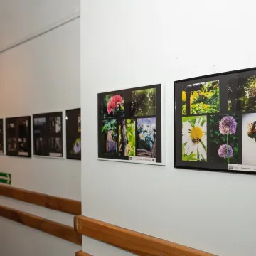 Zdobyli fotograficzne szlify