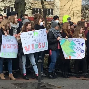 Młodzieżowy strajk klimatyczny w Radomsku