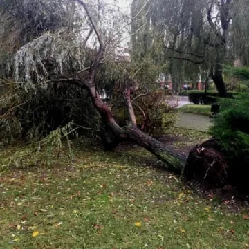 Orkan Grzegorz daje się we znaki 