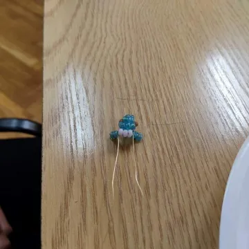 Lato w bibliotece w Radomsku