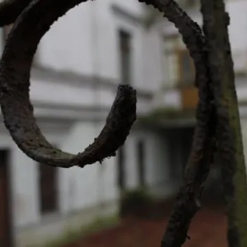 Plener fundacji FotoPozytyw