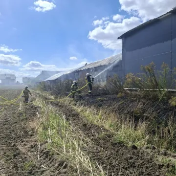 Pożar kotłowni w tartaku w Brudzicach. W akcji ponad 40 strażaków