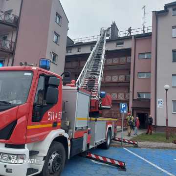 Kot utknął w wentylacji budynku wielorodzinnego w Radomsku