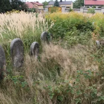 Kirkut odkrywa swoje tajemnice