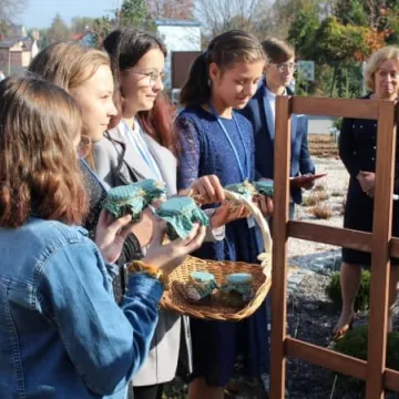 Ekopracownia pod chmurką w PSP nr 9 w Radomsku już działa