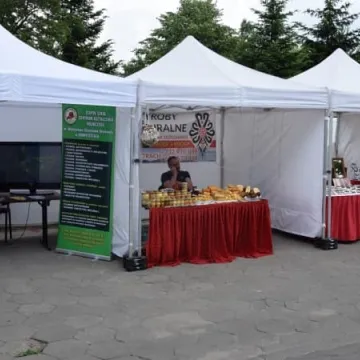 Dni Radomska 2018: Festiwal Smaków