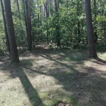 Propagują ekologię – sprzątali las na Suchej Wsi