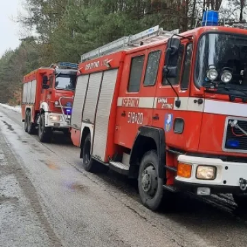 Próba wycinki drzewa zakończyła się interwencją straży i policji