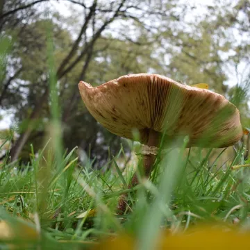 Pałac i natura w obiektywie