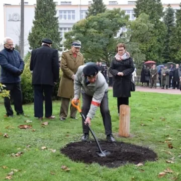Dąb Pamięci dla „Warszyca”