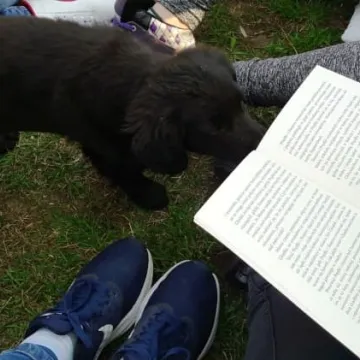 Z pomocą dla zwierząt ze schroniska