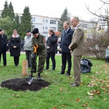 Dąb Pamięci dla „Warszyca”
