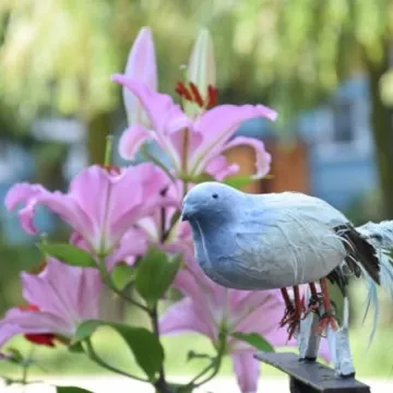 Konkursowe ogrody radomszczan