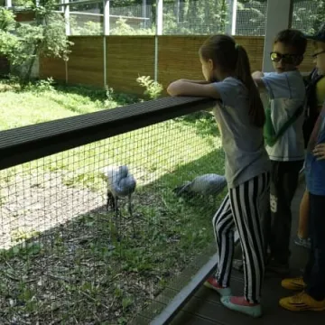 Muzeum Regionalne na wyciecze w Łodzi