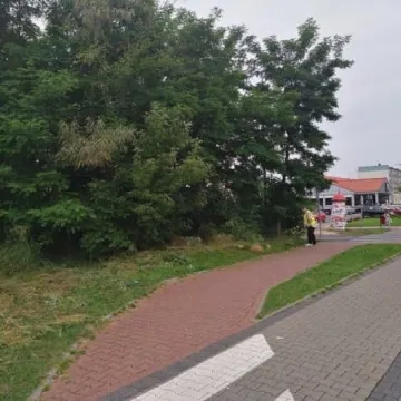 Porządki na Jagiellońskiej