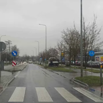 Dendrolog Ernest Rudnicki komentuje wycinkę drzew przy ul. Jagiellońskiej