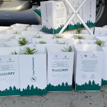 Poseł Anna Milczanowska rozdawała sadzonki z autografem pary prezydenckiej