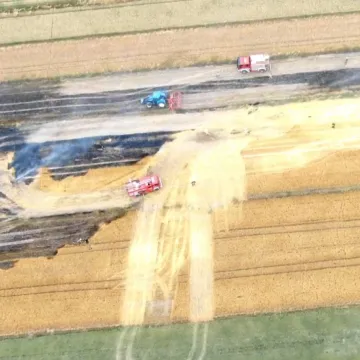 [AKTUALIZACJA] W Strzałkowie pali się zboże i trawa