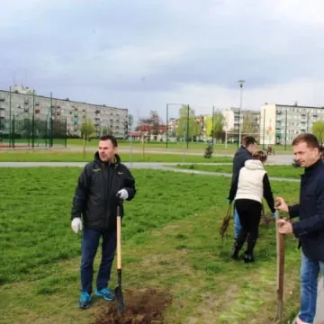 Samorządowcy z Platformy Dialogu sadzili drzewa
