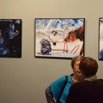 Cztery łapy w obiektywie 