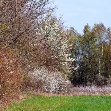Era Travel na weekend: Majowa Góra w Woli Przedborskiej