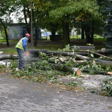 Trwa sprzątenie po Ksawerym w Radomsku