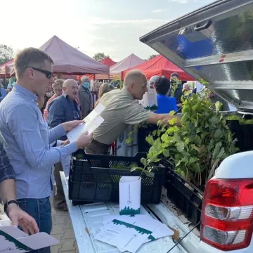 Poseł Anna Milczanowska rozdawała sadzonki z autografem pary prezydenckiej