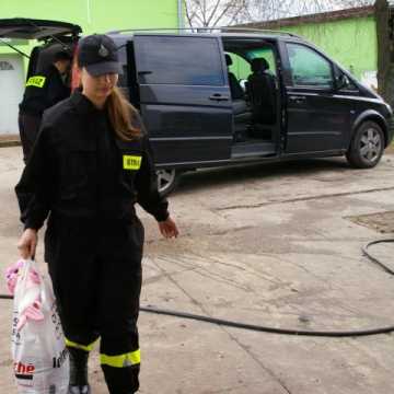 Młodzieżówka OSP Kietlin pomaga zwierzętom z bełchatowskiego schroniska. Przebywają tam czworonogi z gminy Radomsko