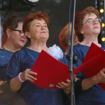 Niedzielna odsłona Dni Radomska 2023