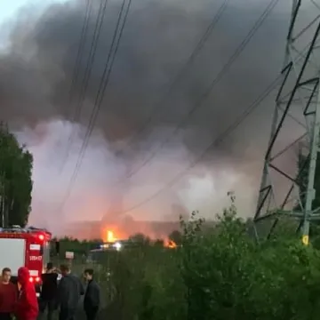 Spłonęło 5 hektarów traw