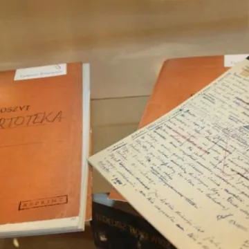 Różewicz w bibliotece